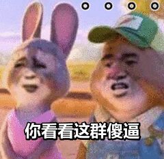 你看看这群傻逼