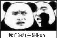 一我们的群主是ikun