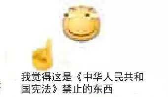 我觉得这是《中华人民共和国宪法》禁止的东西