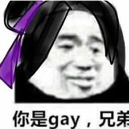 你是gay，兄弟