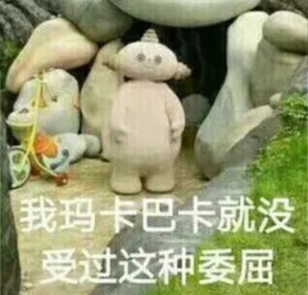 我玛卡巴卡就没受过这种委屈