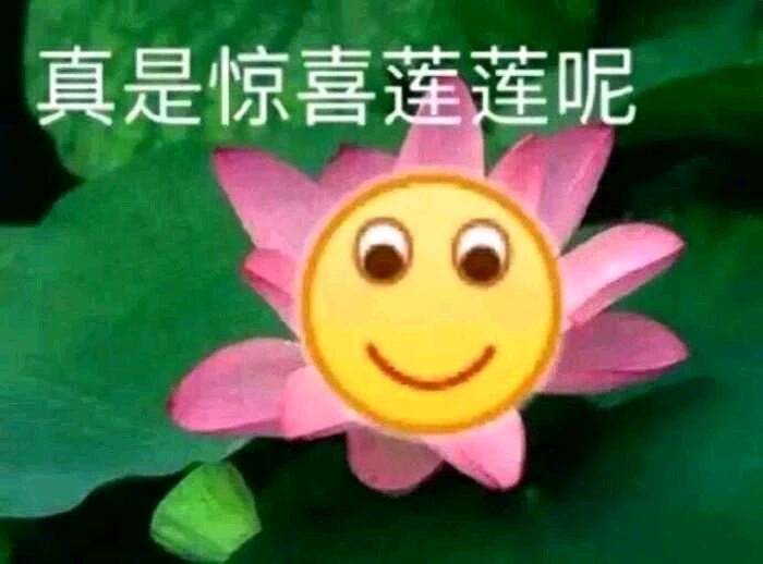 真是惊喜莲涟呢