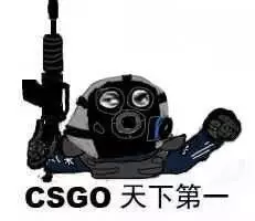 csGo天下第