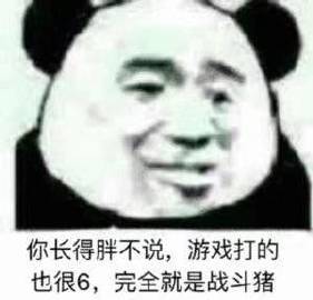 你长得胖不说，游戏打的也很6，完全就是战斗猪