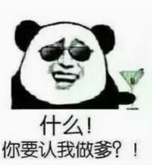 什么！你要认我做爹？！