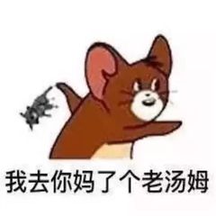 我去你妈了个老汤姆