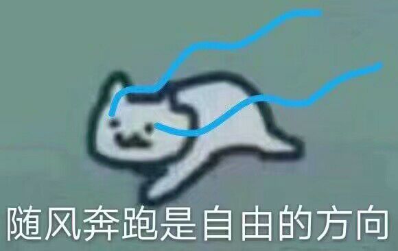 随风奔跑是自由的方向