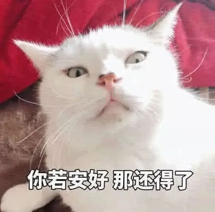 你若安好那得了