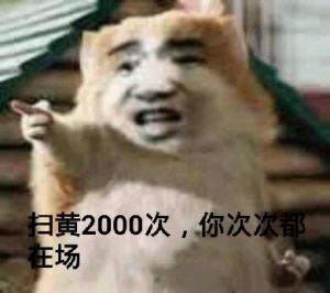 扫黄2000次，你次次在场