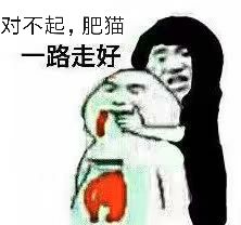 对不起，肥猫路走好