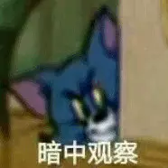 暗中观察