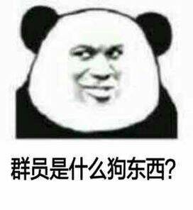 群员是什么狗东西？