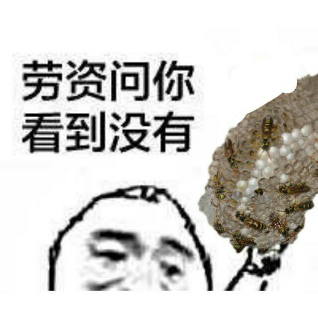 劳资问你看到没有