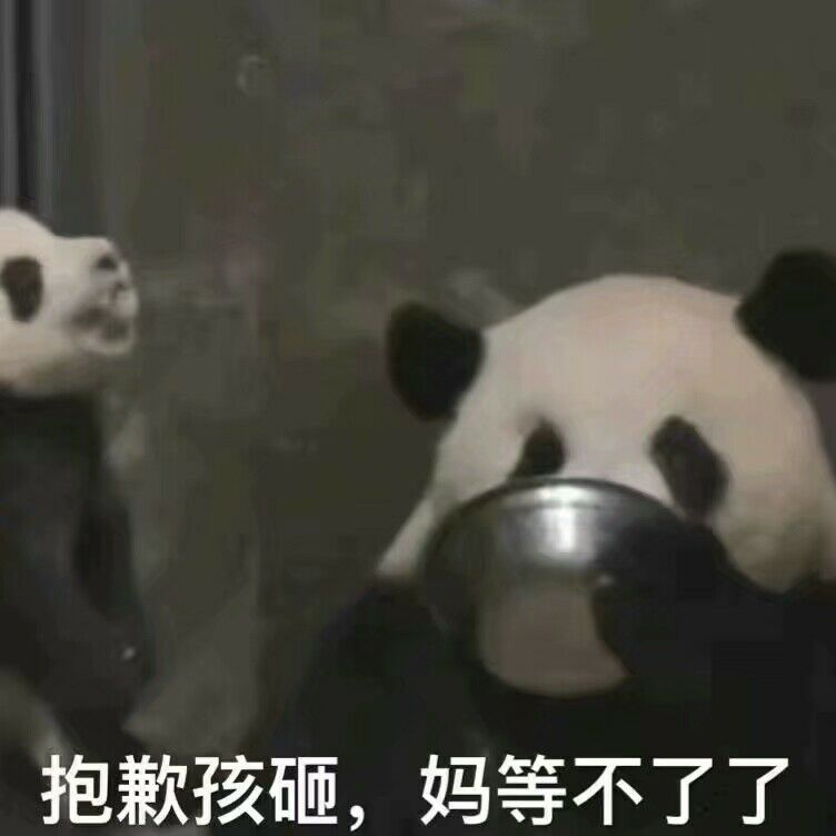 抱歉孩砸，妈等不了了