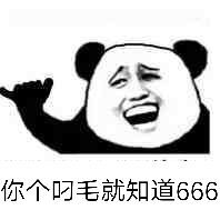 你个叼毛就知道666