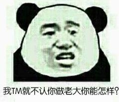 我TM就不认你做老大你能怎样