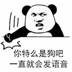 你特么是狗吧，一直就会发语音