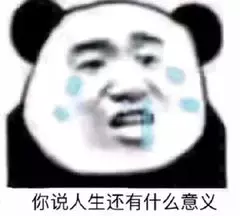 你说人生还有什么意义