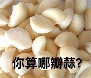 你算哪瓣蒜？