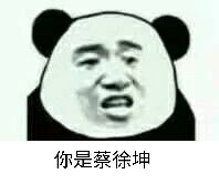 你是蔡徐坤