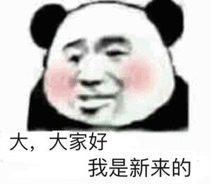 大，大家好我是新来的