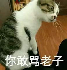 你敢骂老子