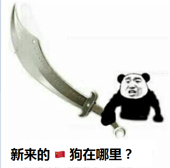 新来的狗在哪里？