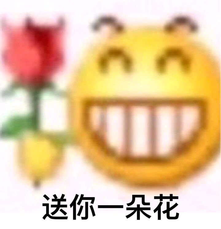 送你一朵花