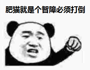 肥猫就是个智障，必须打倒