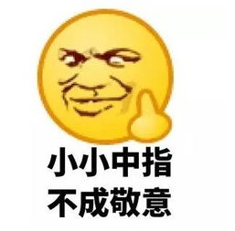 小小中指不成敬意