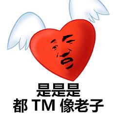 是是是都TM像老子