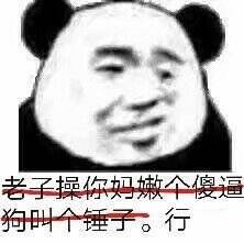 老子操你妈嫩个傻狗个锤子