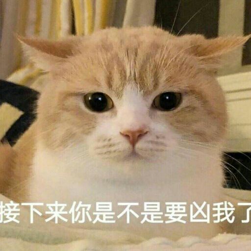 接下来你是不是要凶我