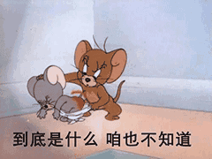 到底是什么咱也不知道