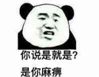 你说是就是？是你麻痹