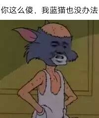 你这么傻，我蓝猫也没办法