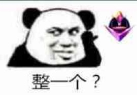 整一个？