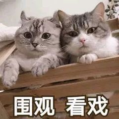 围观看戏