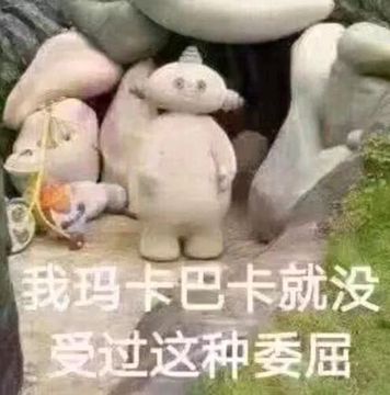 我玛卡巴卡，就没受过这种委屈