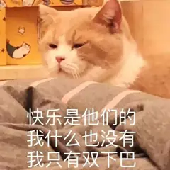 快乐是他们的，我什么也没有我只有双下巴