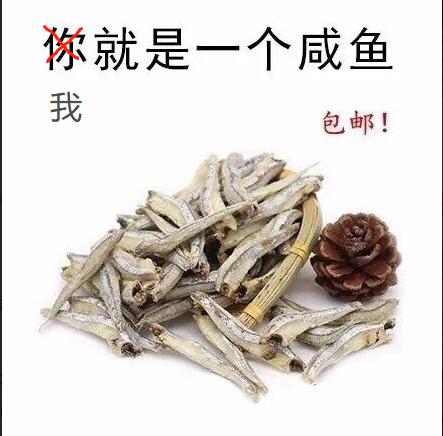 你就是一个咸鱼