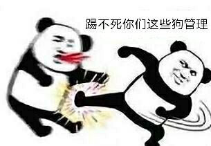 踢不死你们这些狗管理