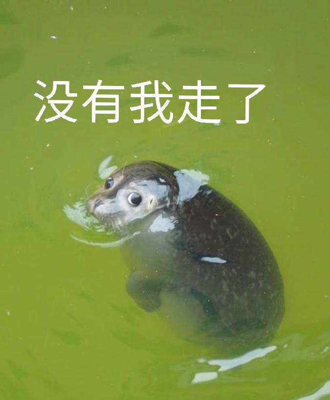 没有我走了