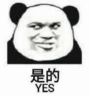 是的YES