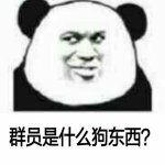 群员是什么狗东西？