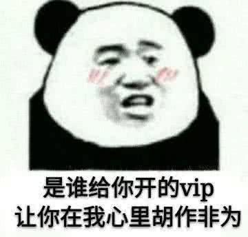 是谁给你开的vp，让你在我心里胡作非为