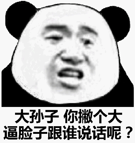 大孙子，你撇个大逼脸子跟谁说话呢？