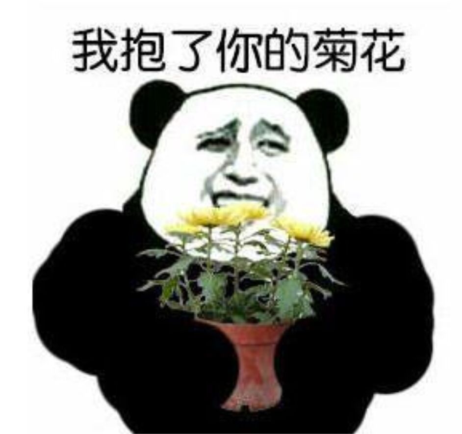 我抱了你的菊花