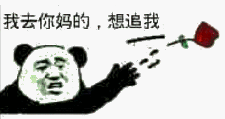 我去你妈的，想追我