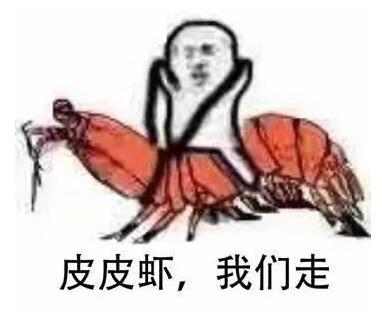 皮皮虾，我们走